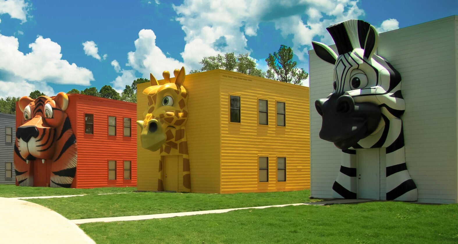 4 - W!LD Photos (1 of 75)